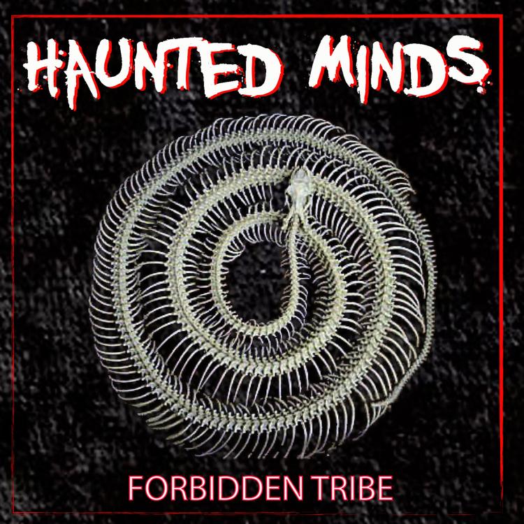 Haunted Minds's avatar image