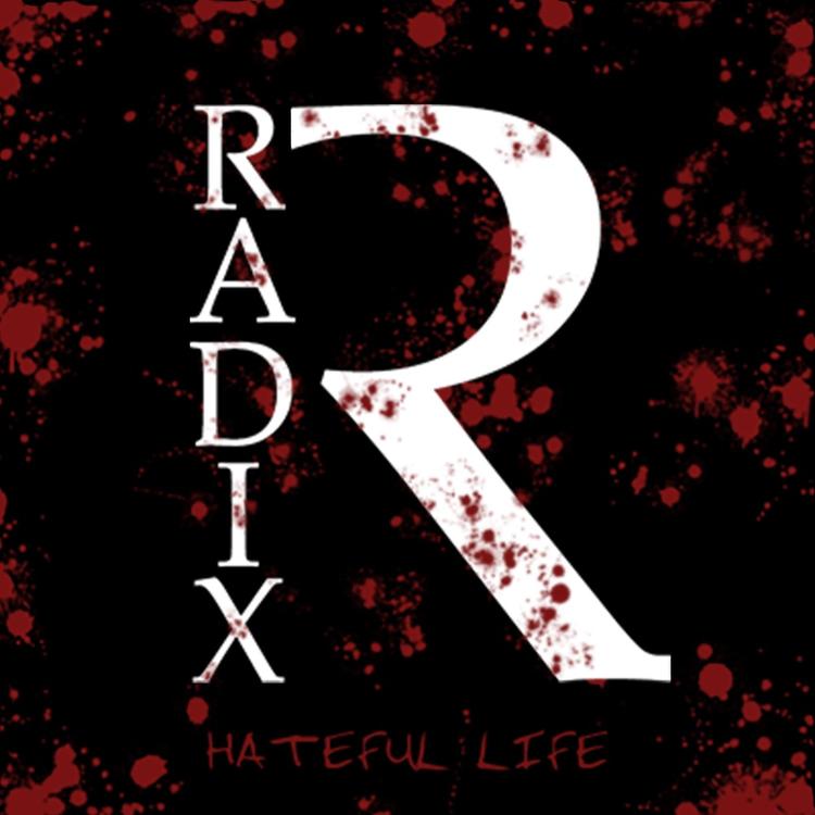 Radix's avatar image