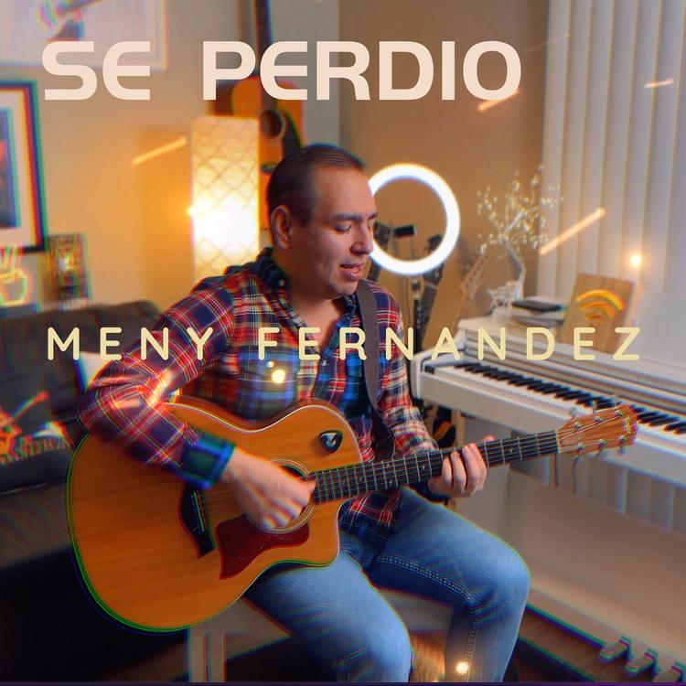 Meny Fernandez's avatar image