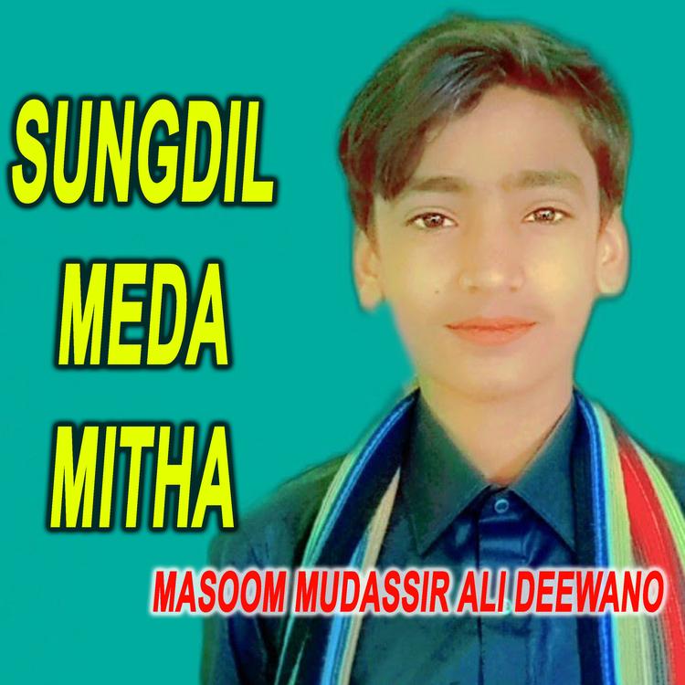 Masoom Mudassir Ali Deewano's avatar image