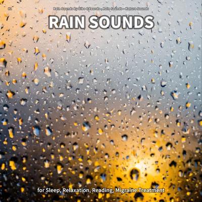 Rain Sounds to Focus By Rain Sounds by Sibo Edwards, Rain Sounds, Nature Sounds's cover