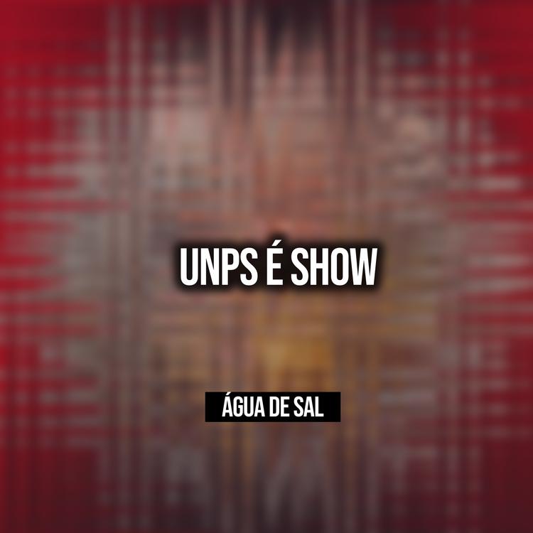 UNPS É SHOW's avatar image