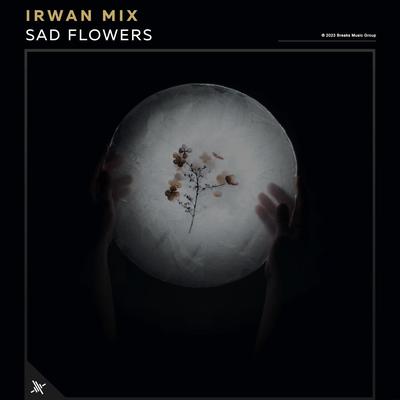 Melodi Manja Manja By Irwan Mix's cover