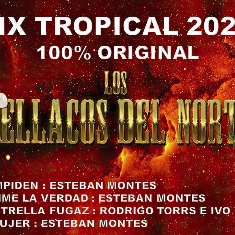 Los Bellacos del Norte's avatar image