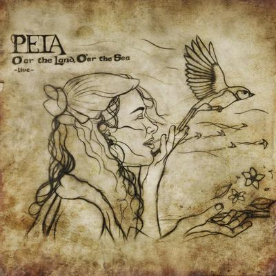 O'er the Land O'er the Sea (Live) [feat. David Brown, Biko Casini & Rising Appalachia] By Peia, David Brown, Biko Casini, Rising Appalachia's cover