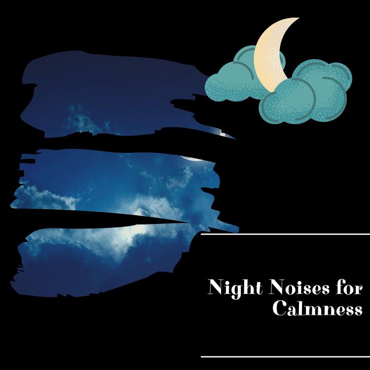 Night Nature Sounds's avatar image