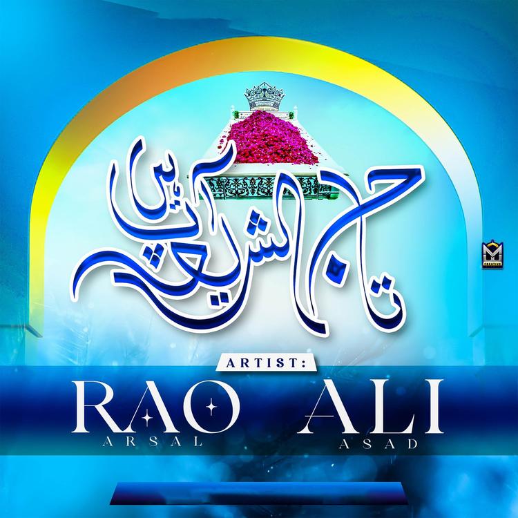 Rao Arsal Ali Asad's avatar image
