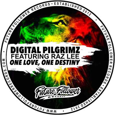 Digital Pilgrimz's cover