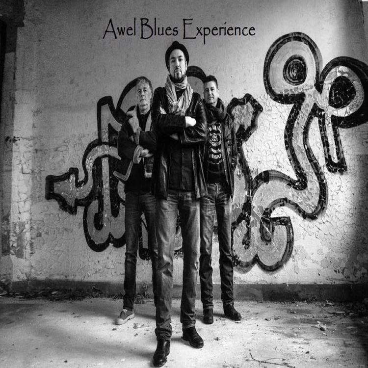 Awel Blues Experience's avatar image