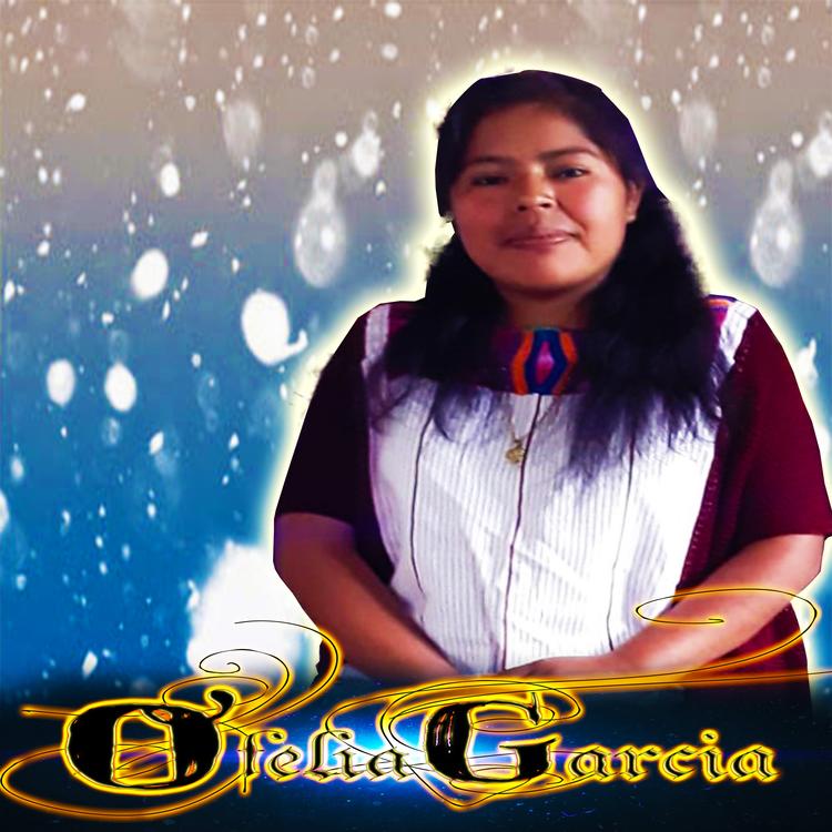 Ofelia García's avatar image