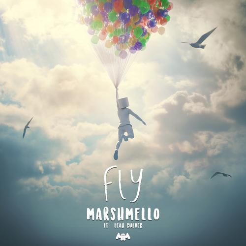 Fly's cover