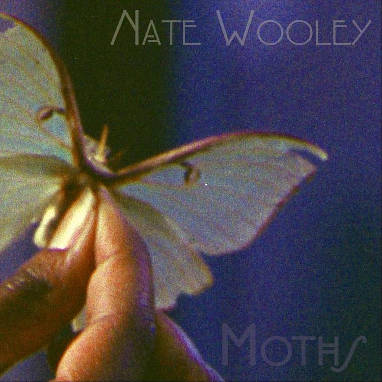 Nate Wooley's avatar image