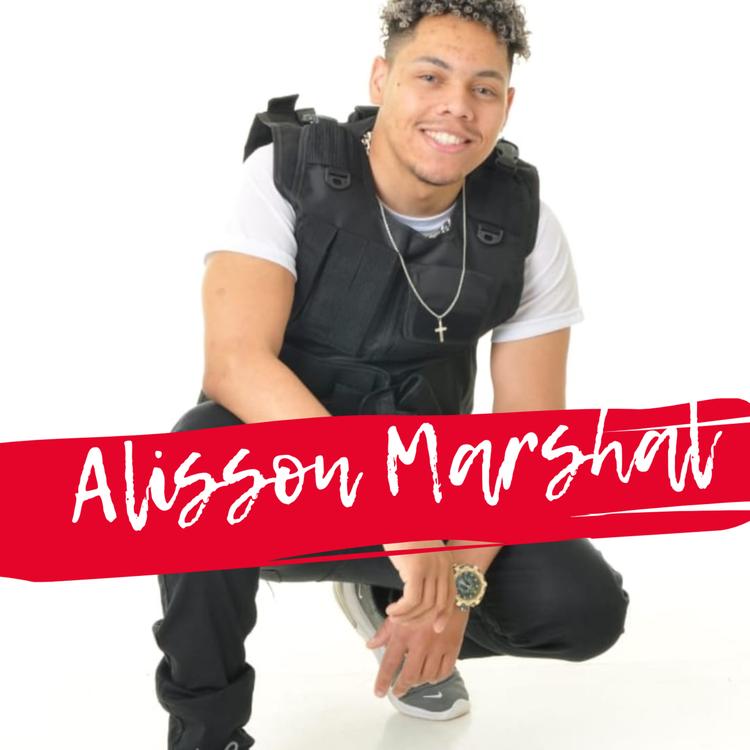 Alisson Marshal's avatar image
