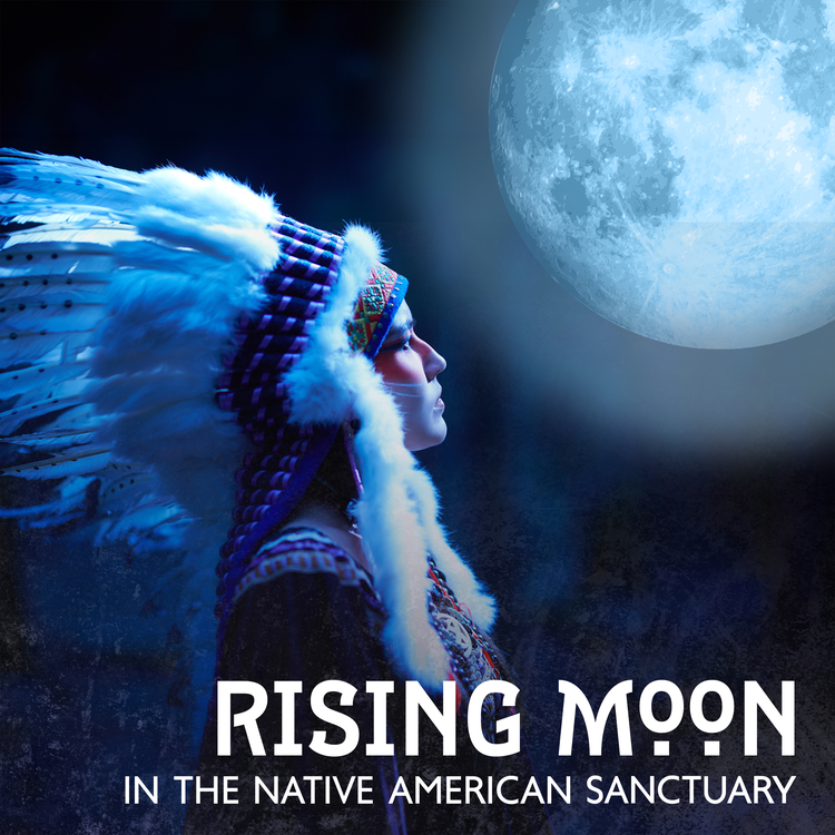 Native American Music World's avatar image