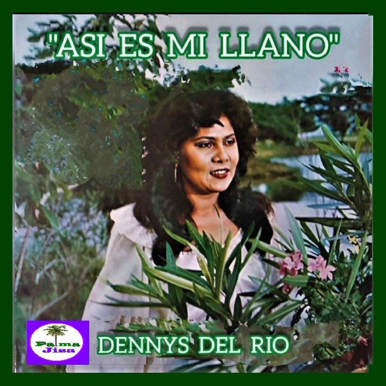Dennys Del Rio's avatar image