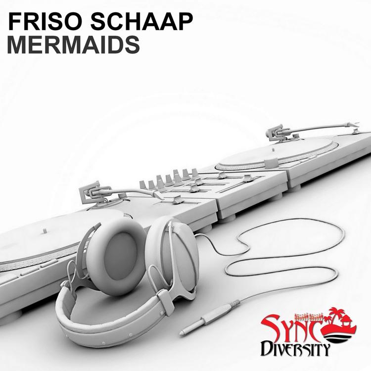 Friso Schaap's avatar image