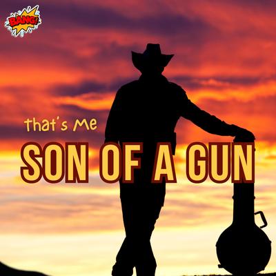 Son Of A Gun By Tucker Fiddles's cover