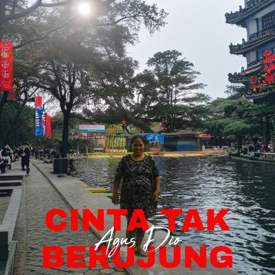 Cinta Tak Berujung's cover