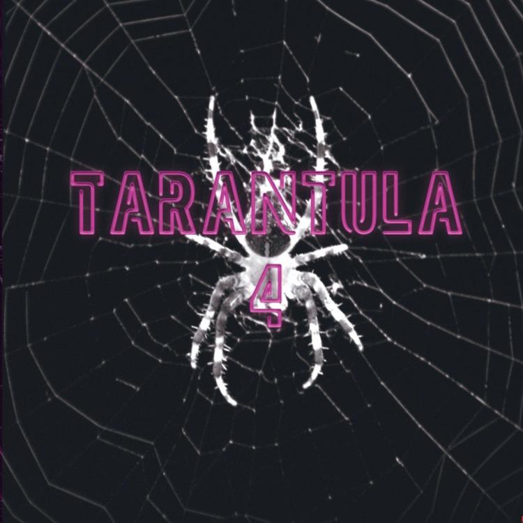 Tarantula's avatar image