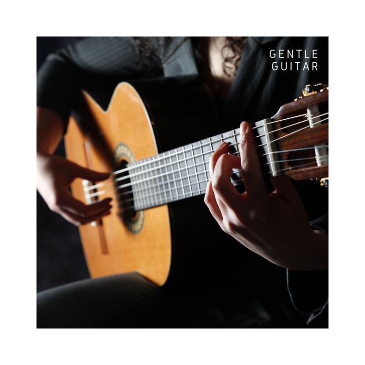 Guitar Music Zone's avatar image