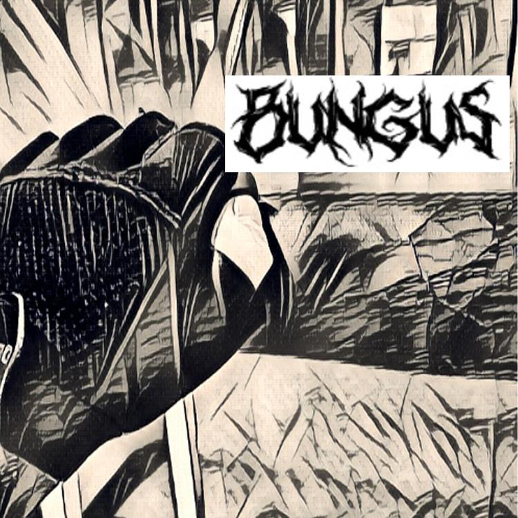 Bungus's avatar image