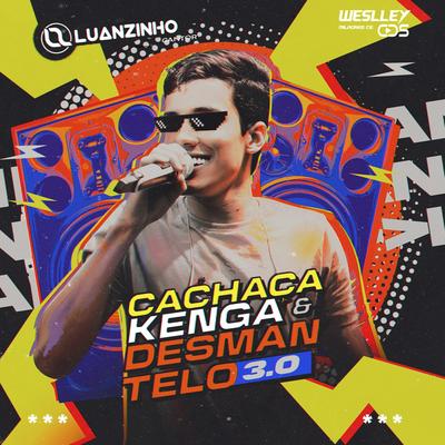 Rave Com Pizeiro By Luanzinho Cantor's cover