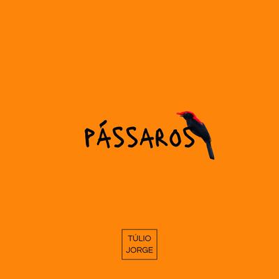 Túlio Jorge's cover