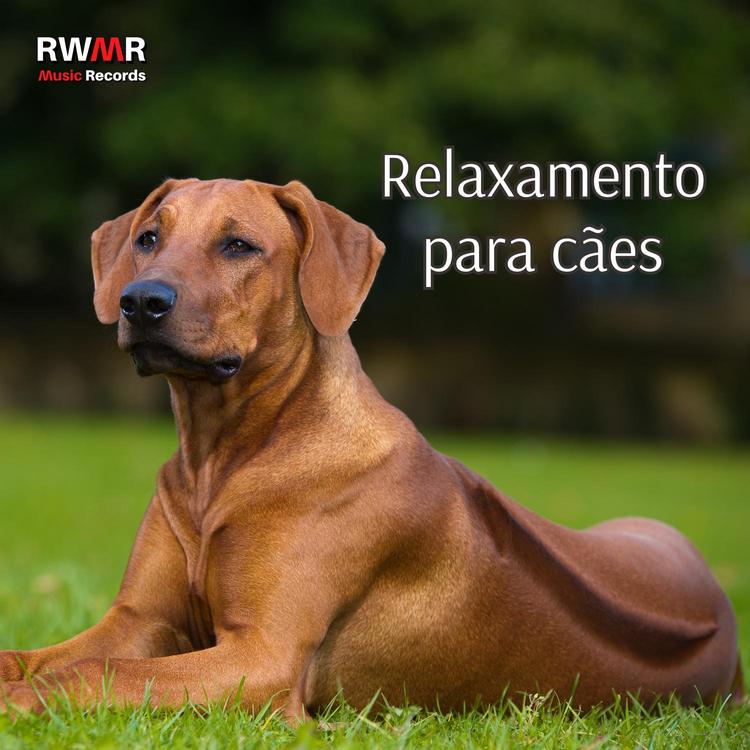 RW Cachorro preguiçoso's avatar image