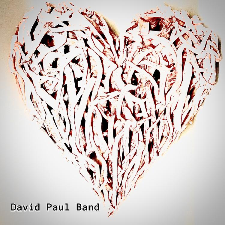 David Paul Band's avatar image