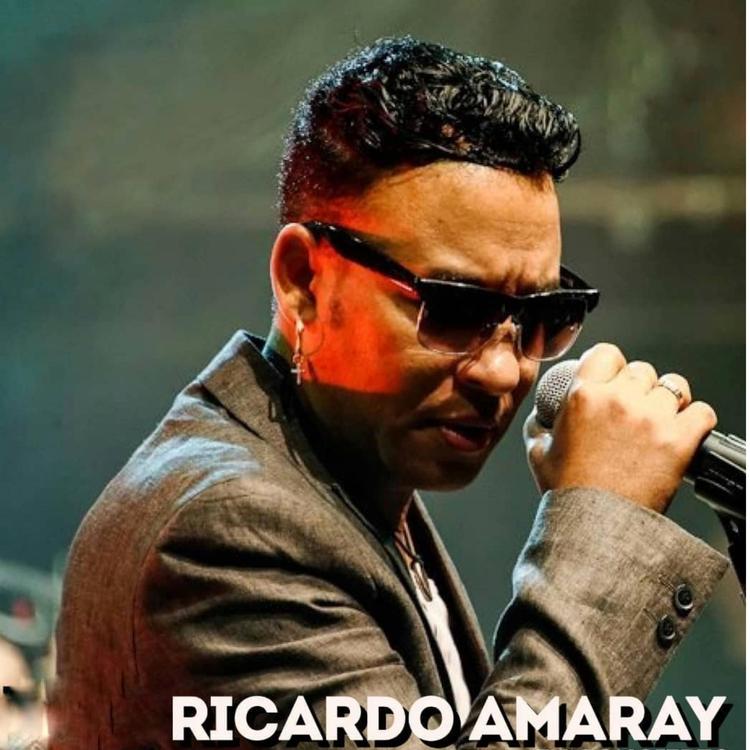 Ricardo Amaray's avatar image