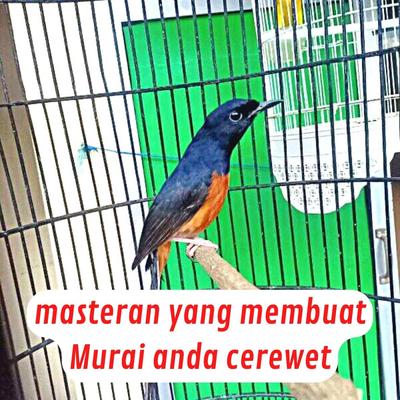 Masteran Yang Membuat Murai Anda Cerewet's cover