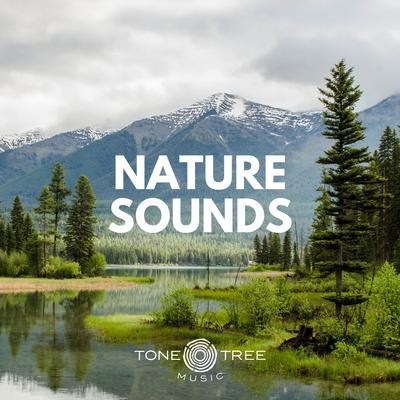 Tone Tree Music Presents: Nature Sounds's cover