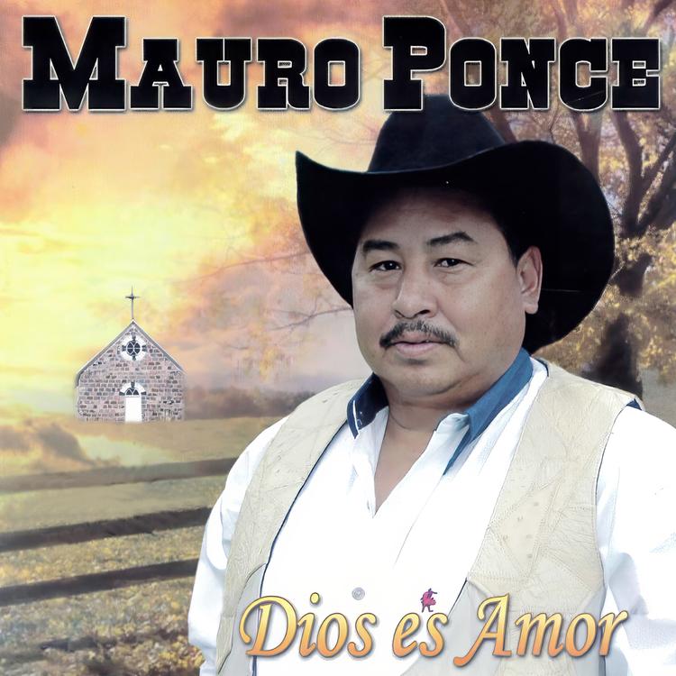 Mauro Ponce's avatar image
