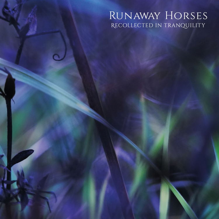 Runaway Horses's avatar image