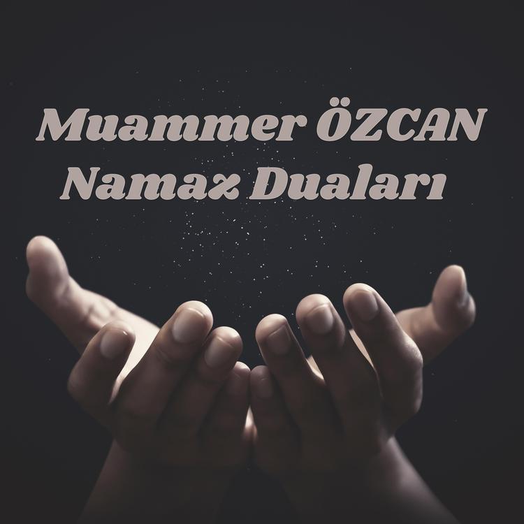 Muammer Özcan's avatar image