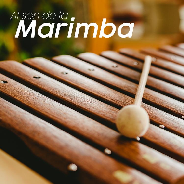 Marimba Carnaval del Ritmo's avatar image