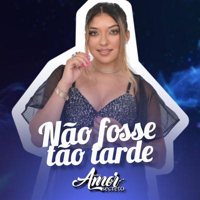 Não Fosse Tão Tarde By Banda Amor Secreto's cover