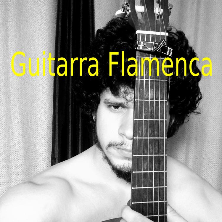 El Caballero de la guitarra's avatar image