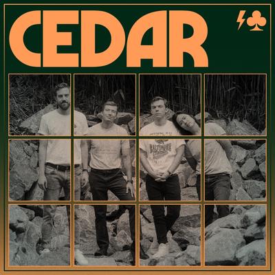 Cedar By Thunder Club's cover