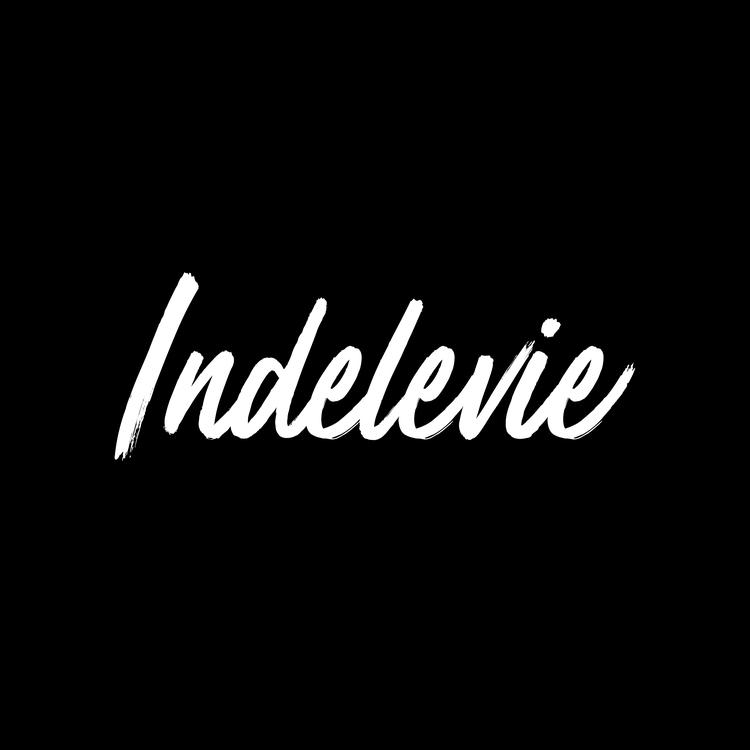 Indelevie's avatar image