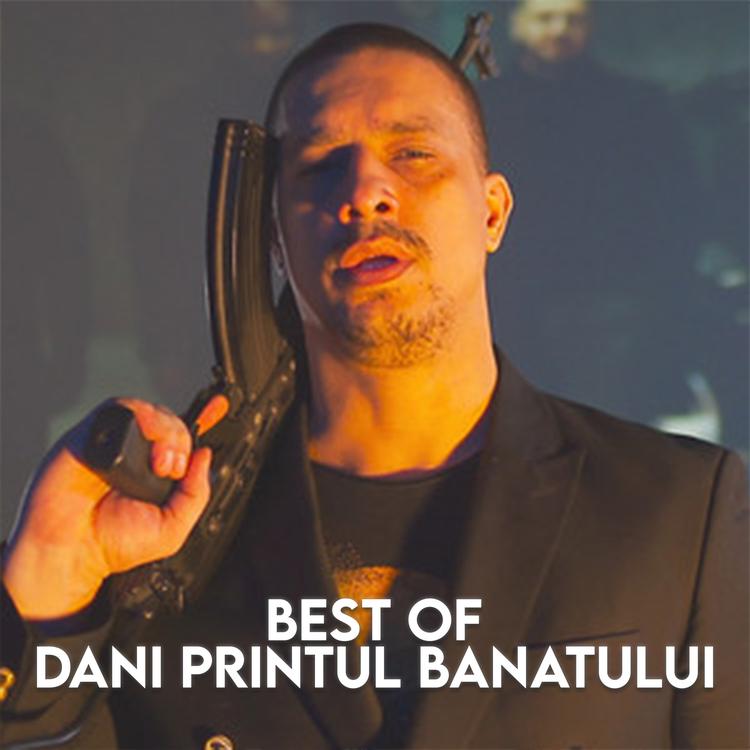 Dani Printul Banatului's avatar image