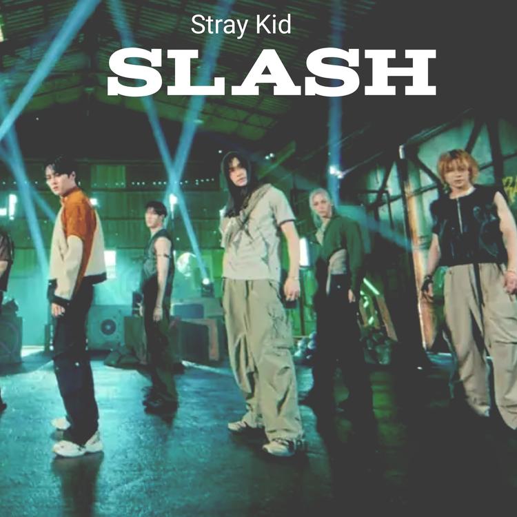 STRAY KID's avatar image