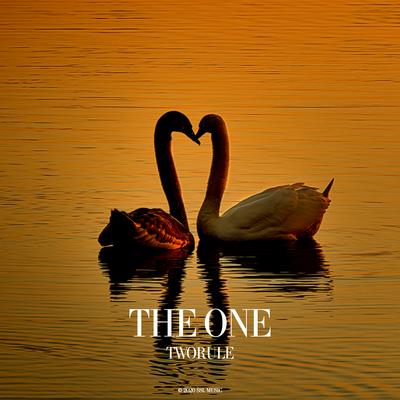 The One's cover