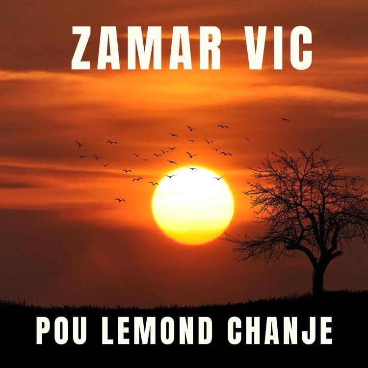 Zamar VIC's avatar image