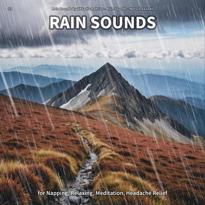 Ambient Rain Sounds for Relaxing's cover