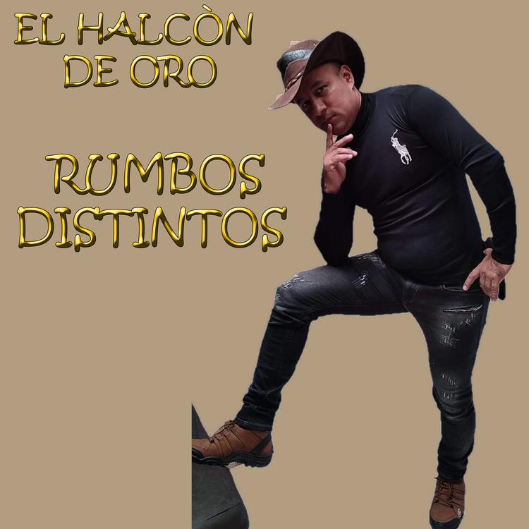 El Halcon de Oro's avatar image