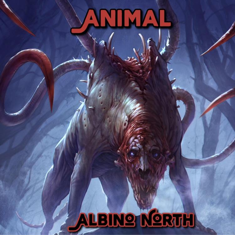 Albino North's avatar image