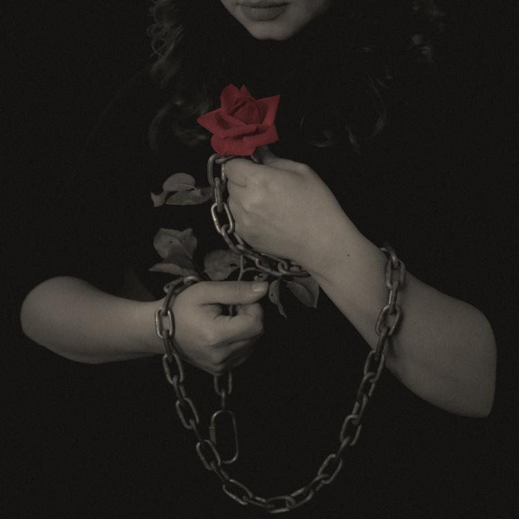 Monalisa Vieira's avatar image
