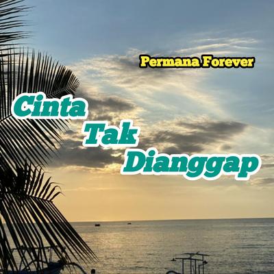 Cinta Tak Dianggap's cover