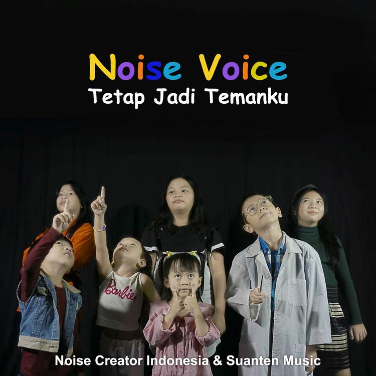 Noise Voice's avatar image